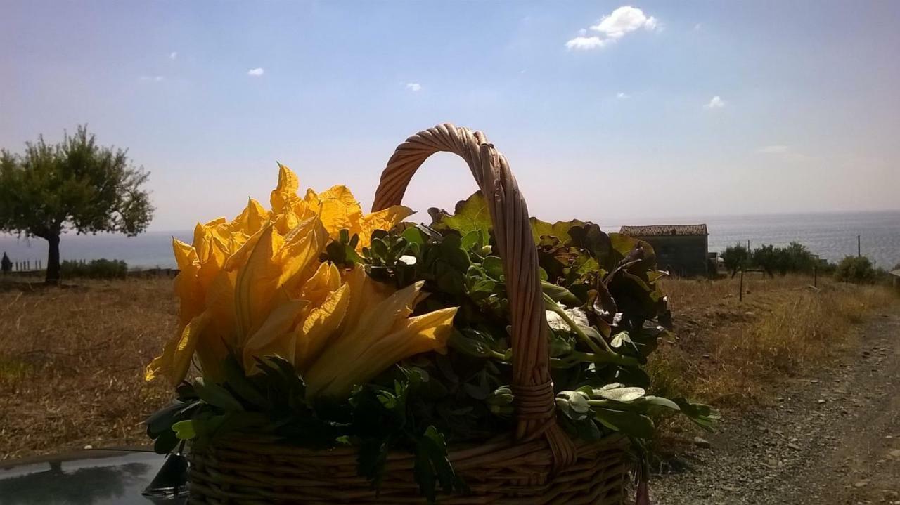 Grassetti Villa Montegiordano Buitenkant foto