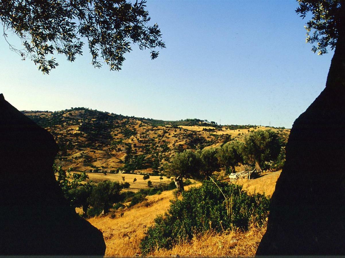 Grassetti Villa Montegiordano Buitenkant foto