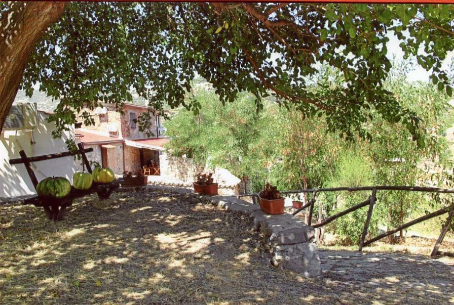 Grassetti Villa Montegiordano Buitenkant foto